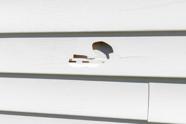 Best Demolition Debris Removal  in New Market, AL