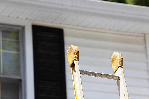 Shed Removal in New Market, AL